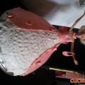 IMG_20120817_170829.jpg