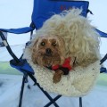 20131122_124852.jpg