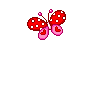 бабочка э4