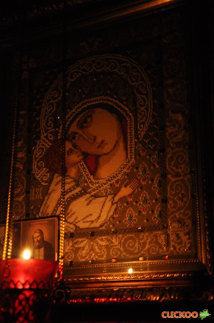 DSC_1003.JPG