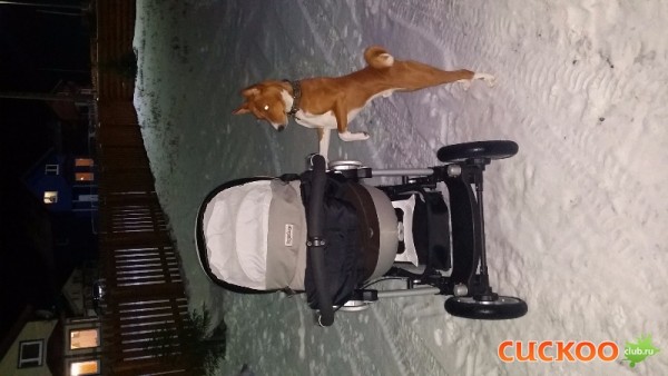 20151128_165159.jpg