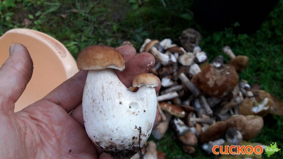 20160820_091417[1].jpg