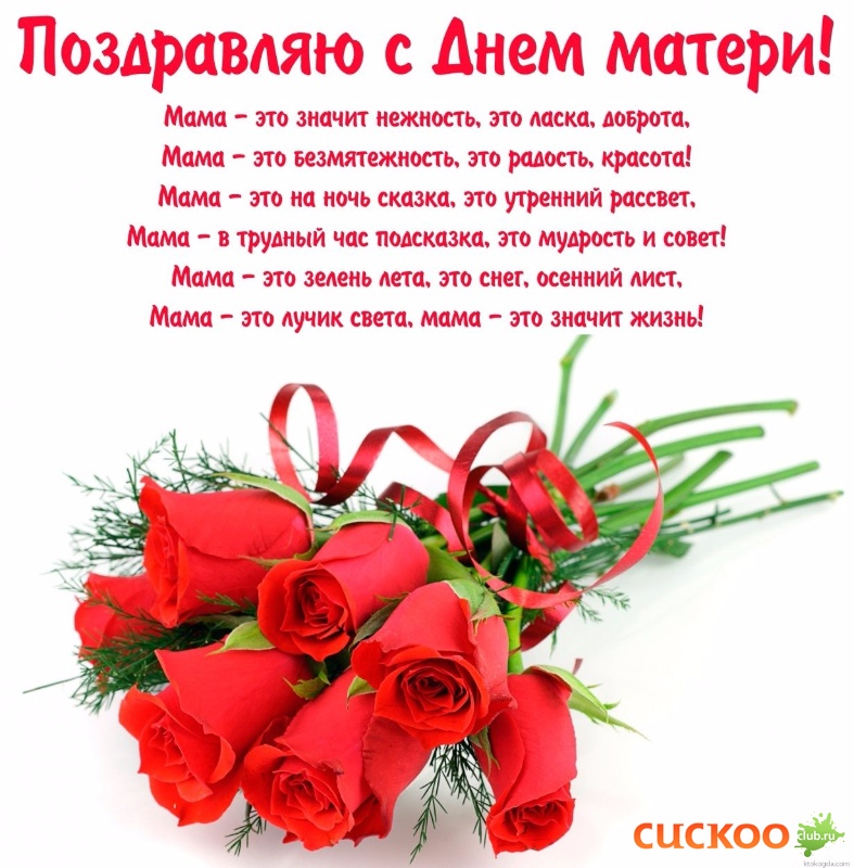 IMG-20161127-WA0001.jpg
