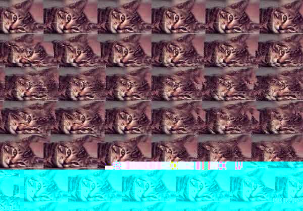 1212956601_image00001.jpg