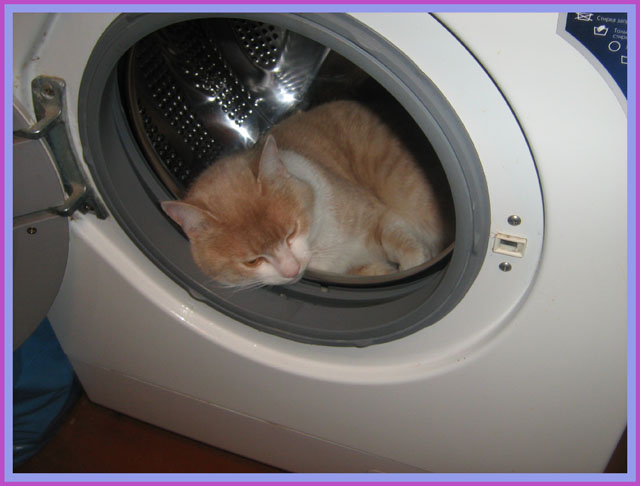 Вася прячится от Маруси.jpg