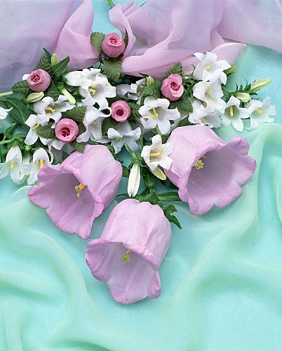 flower015[1].jpg