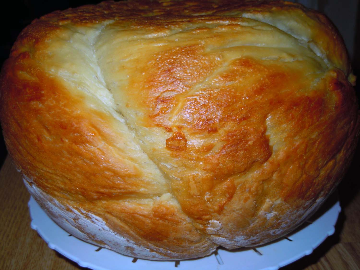 peste copt 007a.jpg