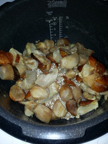20130616_170725.jpg