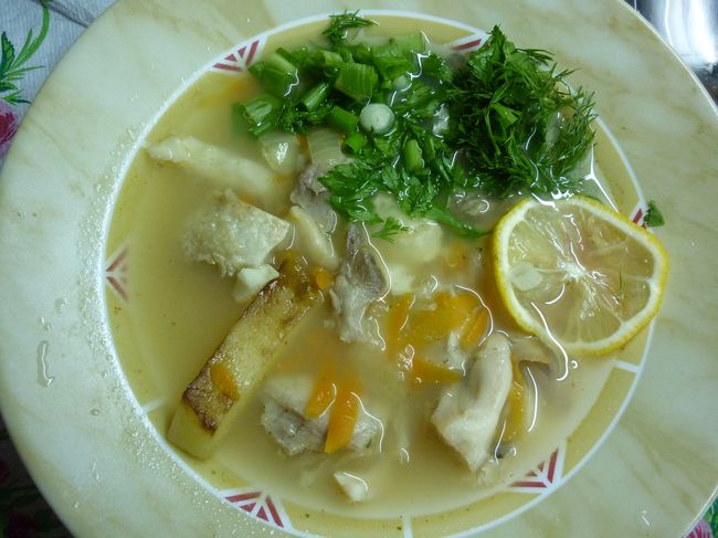 uha10.JPG