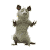 306302c8bda5.gif