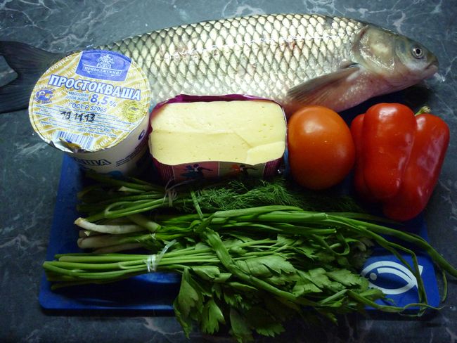 forel1.JPG