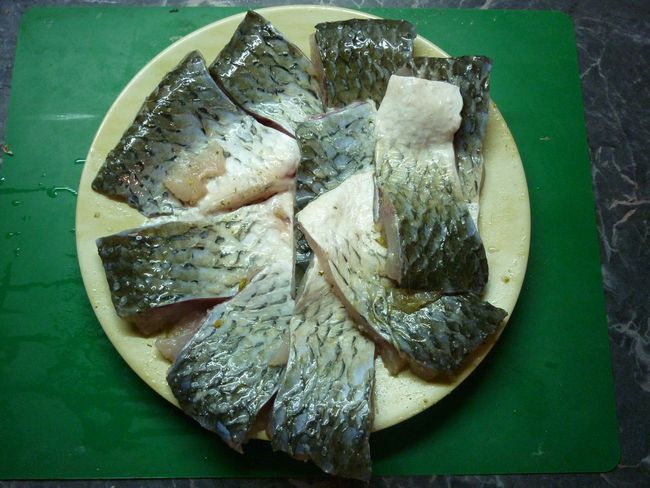 forel2.JPG