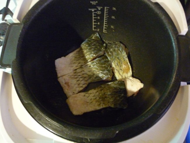 forel3.JPG