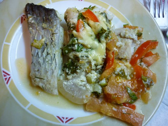 forel9.JPG