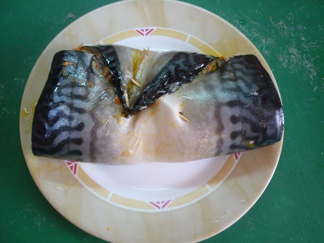 rulet7.JPG