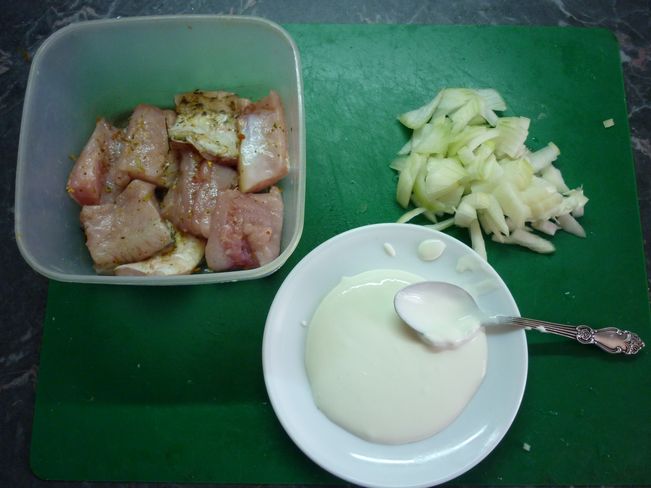hahsaz2.JPG