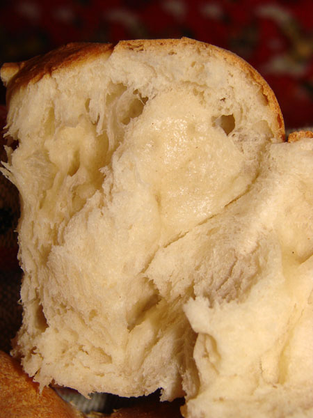 DSC08714.jpg