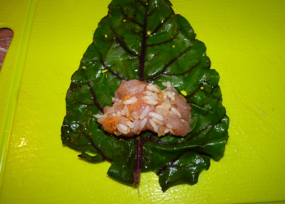 P1040286.JPG