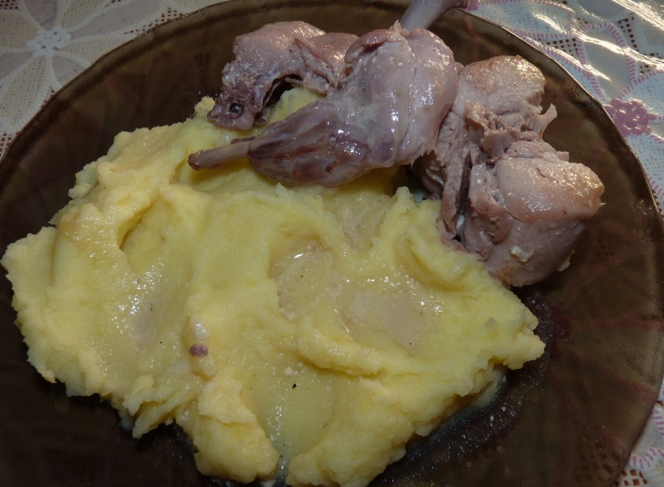 P1050206.JPG