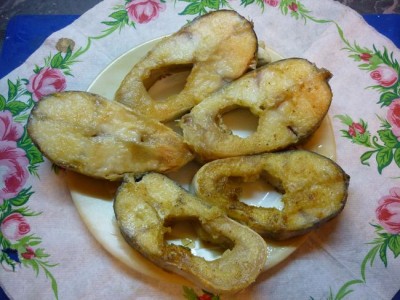 riba6.JPG