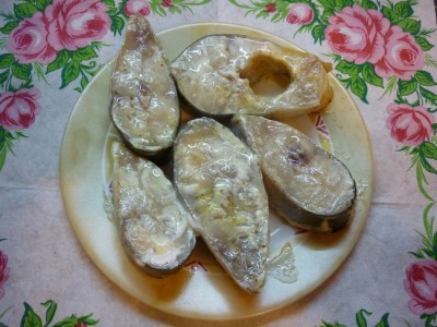 riba8.JPG