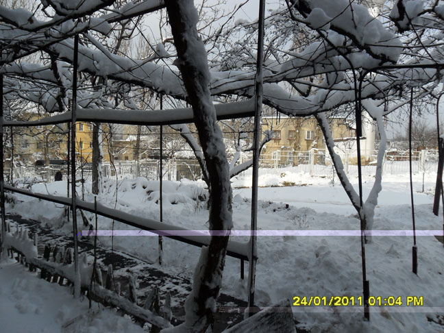 015копия.jpg