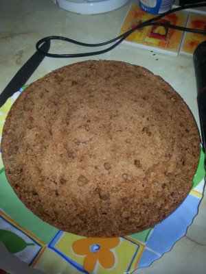 корж в разрезе.jpg