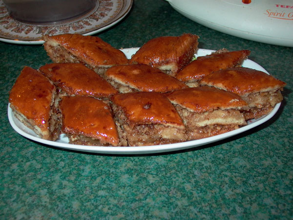 P1020550.jpg