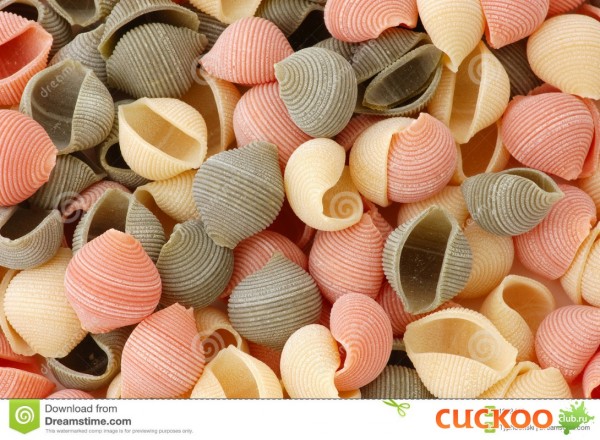 italian-noodles-conchiglie-1833415.jpg