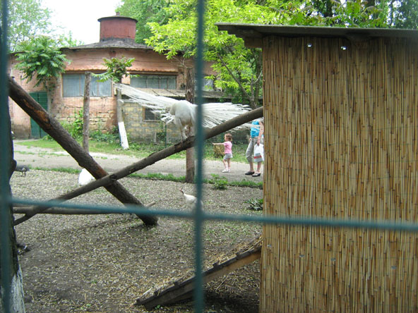 IMG_2279.JPG
